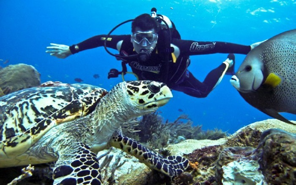 scuba diving at havelock